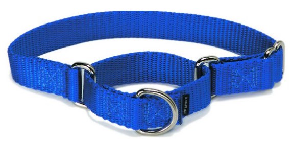 PetSafe Nylon Martingale Dog Collar